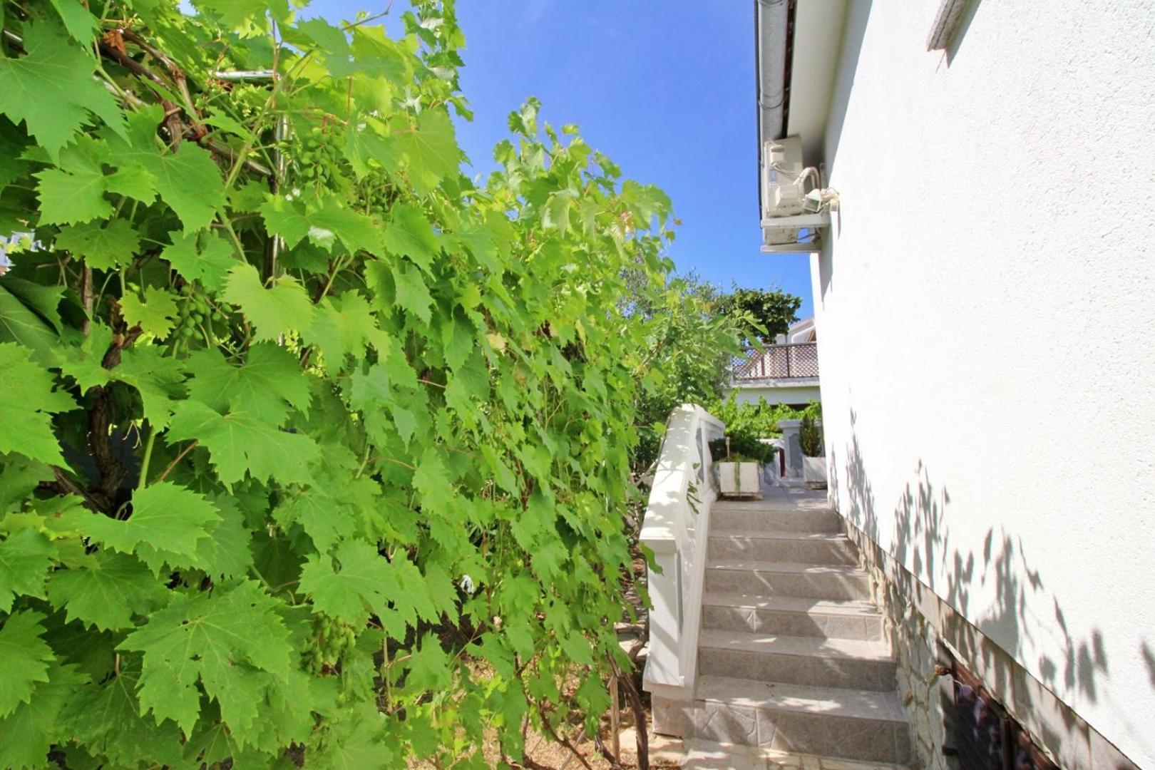 Apartments Zlatica Silo  Ngoại thất bức ảnh